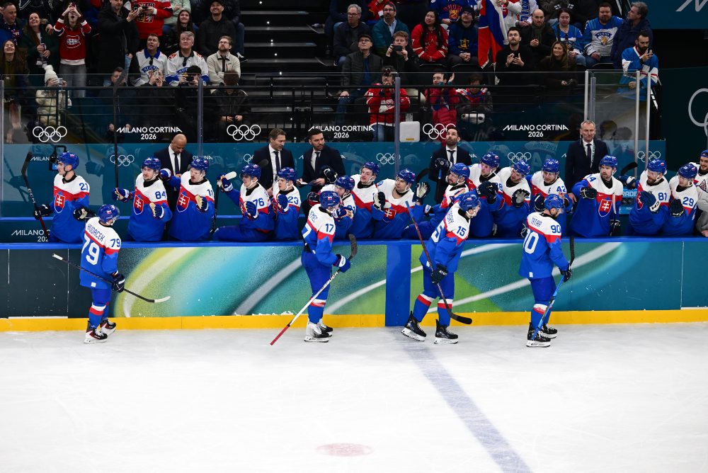 Zo zápasu Slovensko - Fínsko