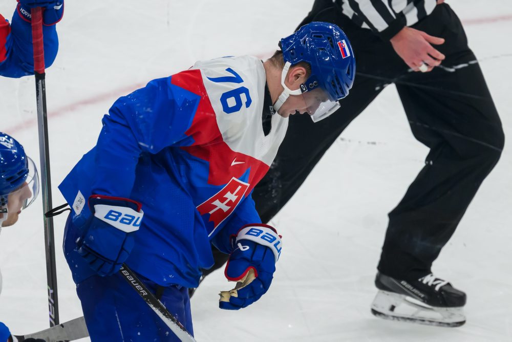 Zo zápasu Slovensko - Fínsko