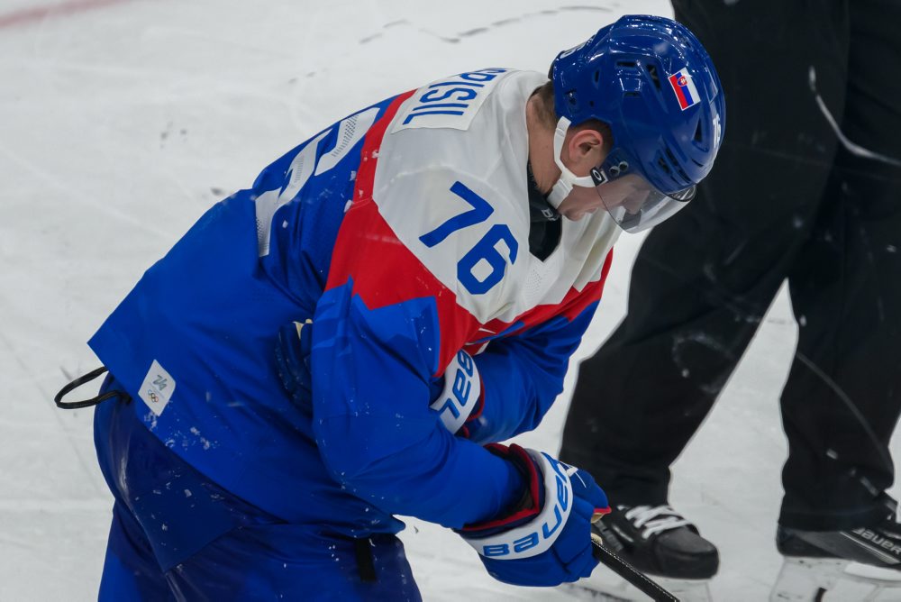 Zo zápasu Slovensko - Fínsko