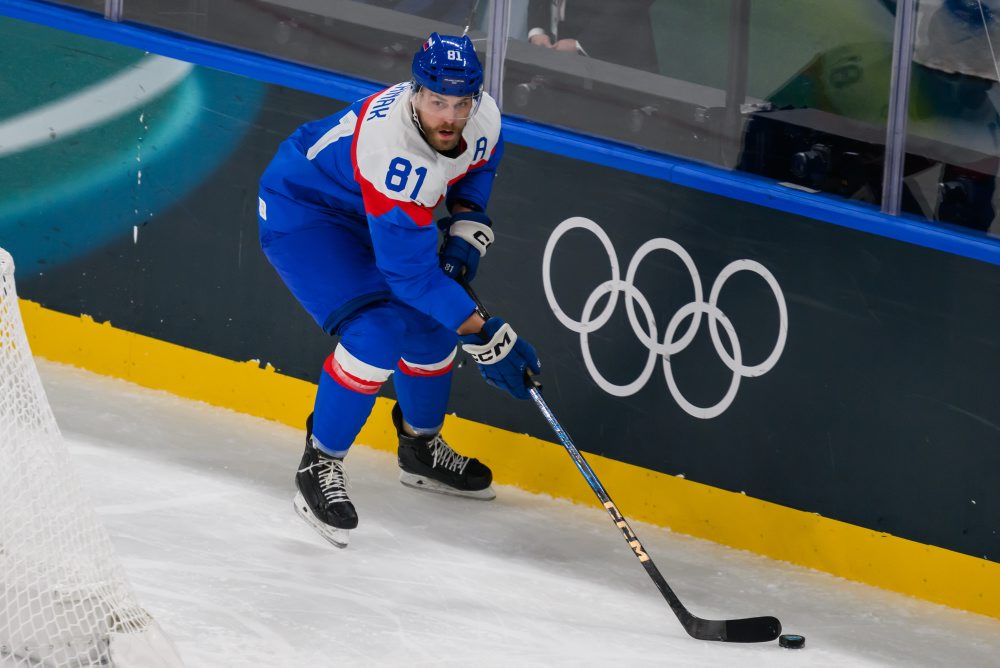 Zo zápasu Slovensko - Fínsko