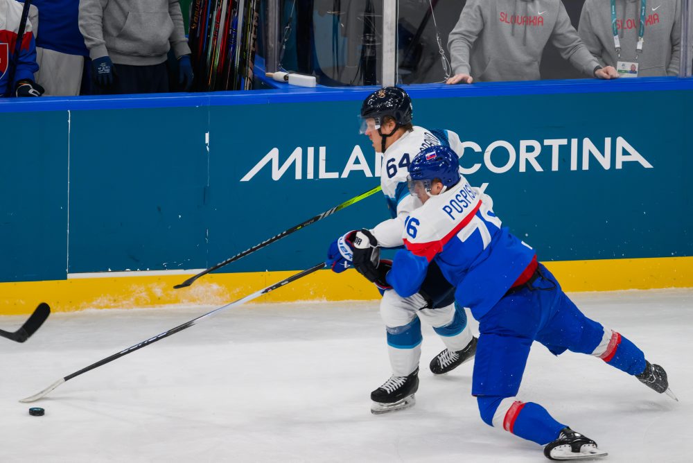 Zo zápasu Slovensko - Fínsko