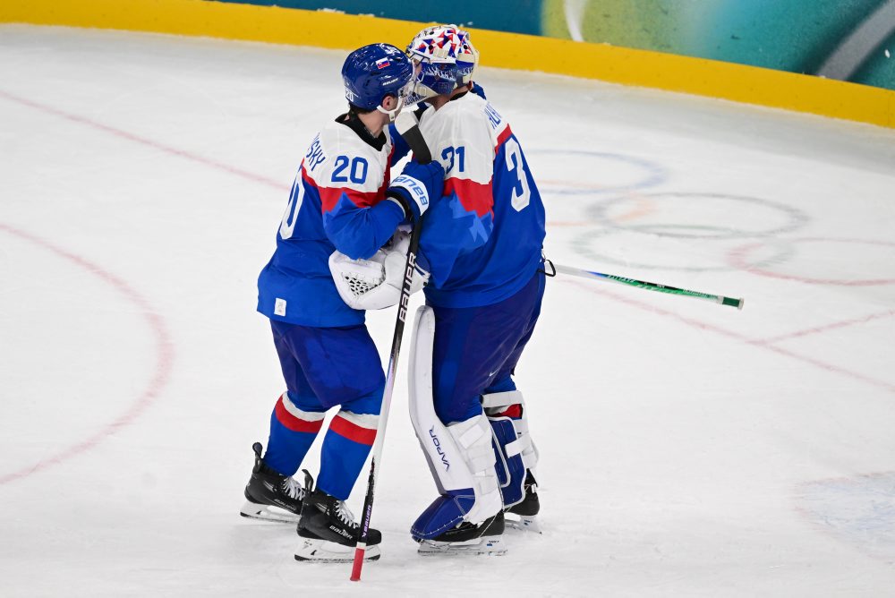 Zo zápasu Slovensko - Fínsko