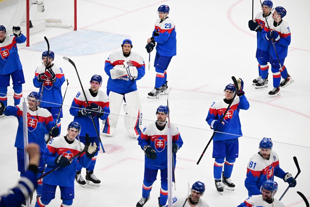 Zo zápasu Slovensko - Fínsko