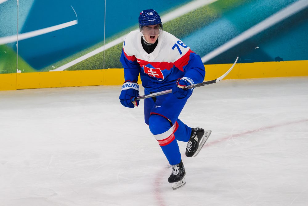 Zo zápasu Slovensko - Fínsko