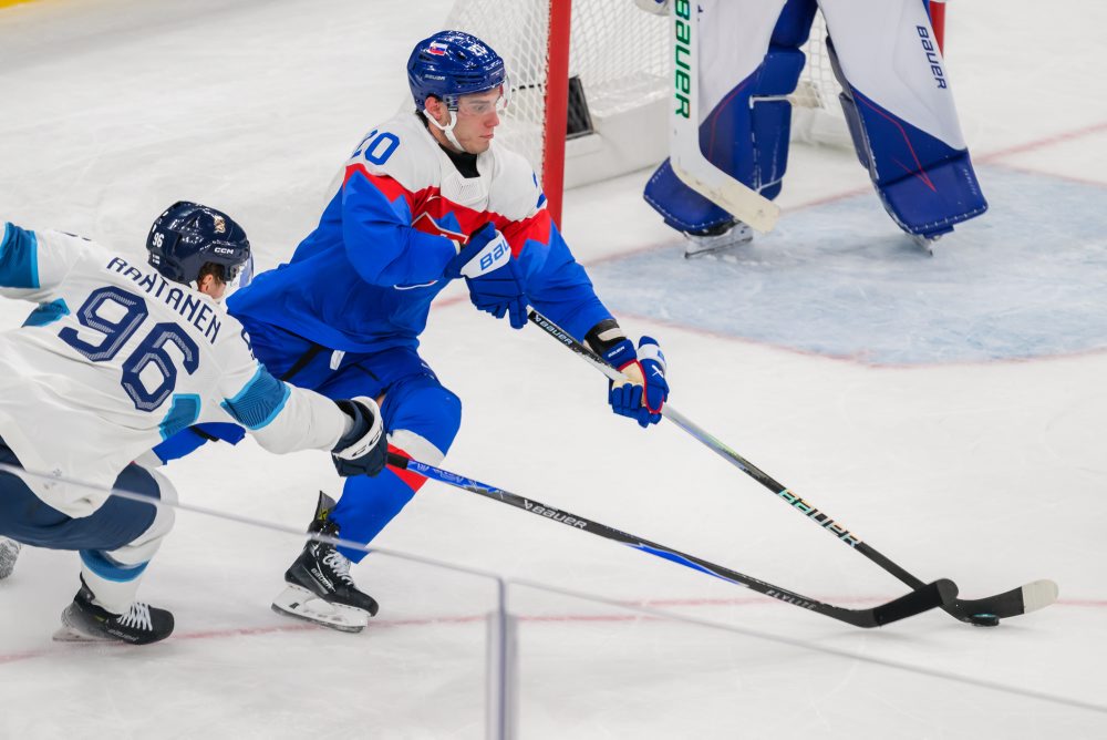 Zo zápasu Slovensko - Fínsko