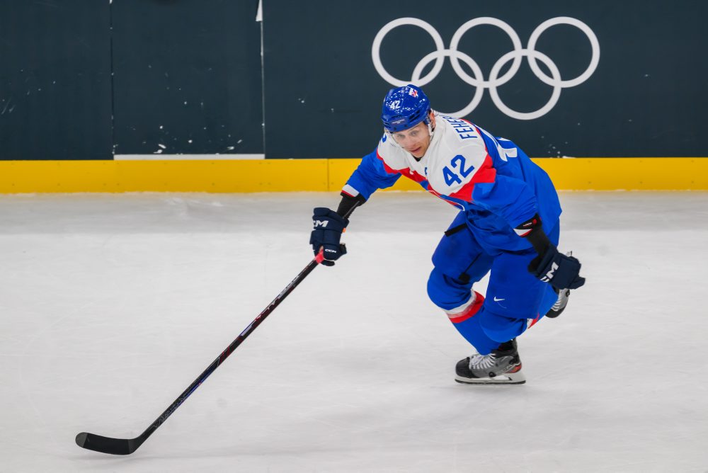 Zo zápasu Slovensko - Fínsko