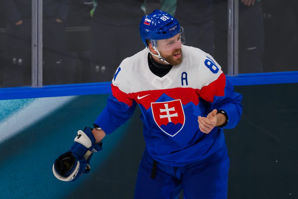 Zo zápasu Slovensko - Fínsko