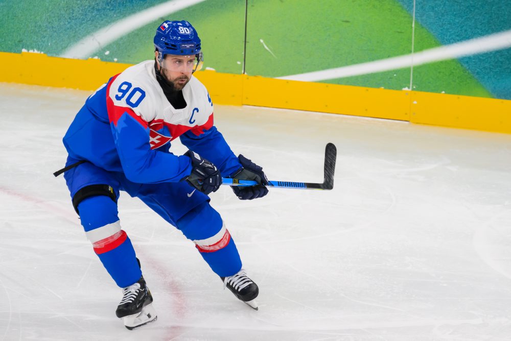 Zo zápasu Slovensko - Fínsko