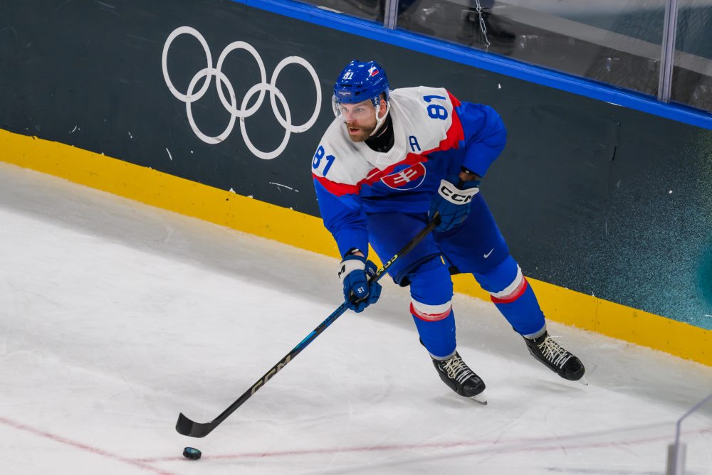 Zo zápasu Slovensko - Fínsko