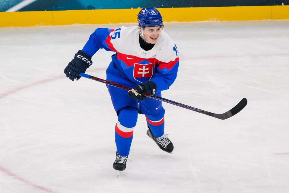 Zo zápasu Slovensko - Fínsko