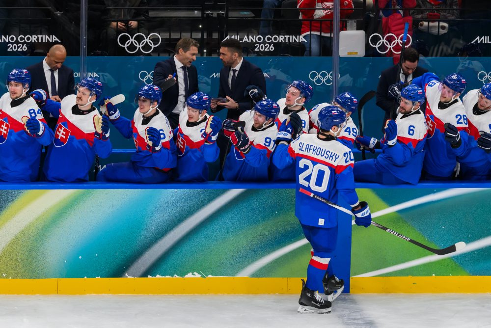 Zo zápasu Slovensko - Fínsko