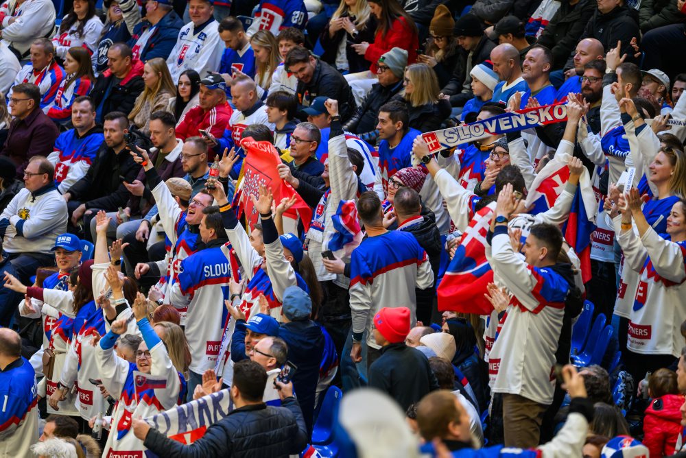 Zo zápasu Slovensko - Fínsko