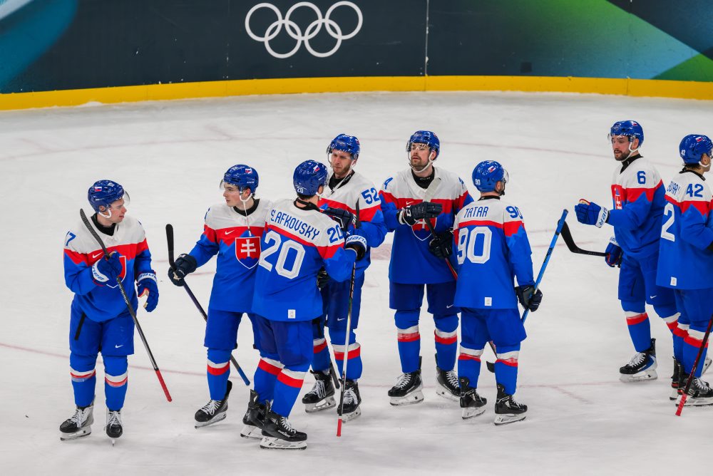 Zo zápasu Slovensko - Fínsko