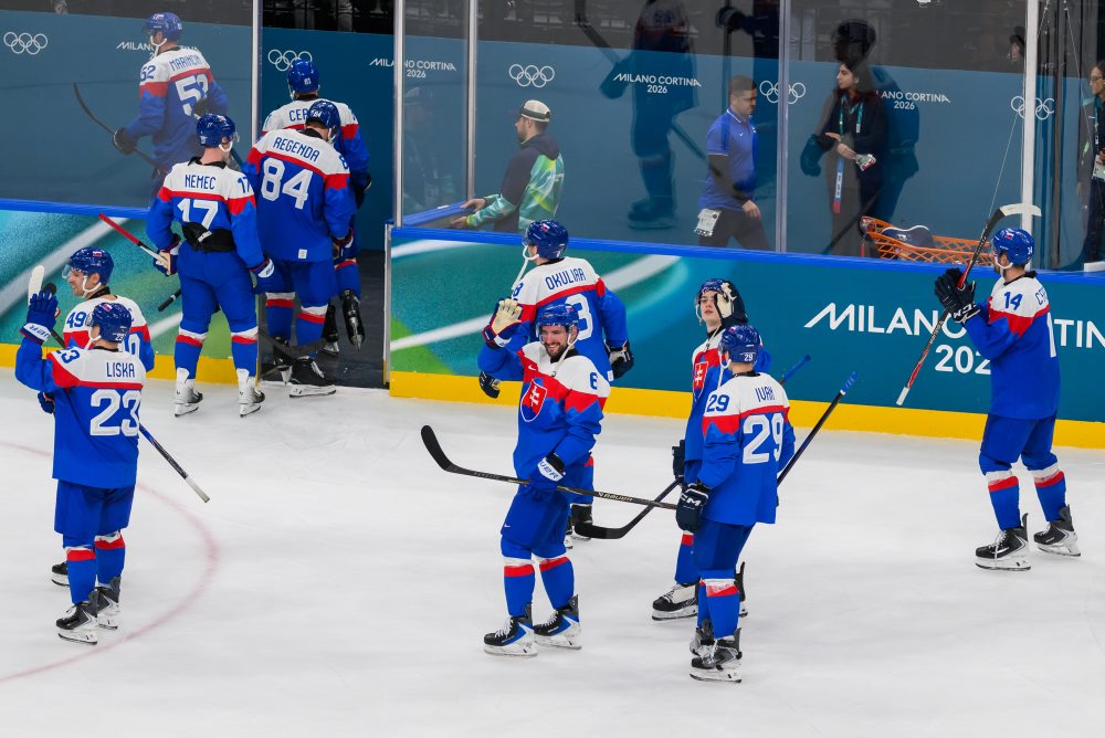 Zo zápasu Slovensko - Fínsko