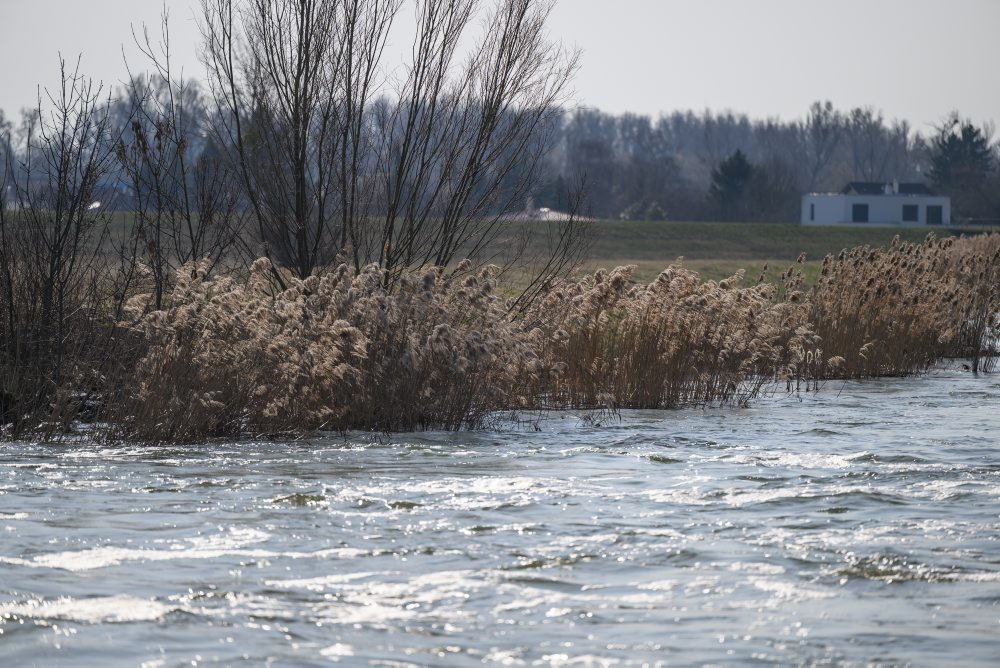 Mimoriadna záplava v ramene Dunaja pomôže životnému prostrediu