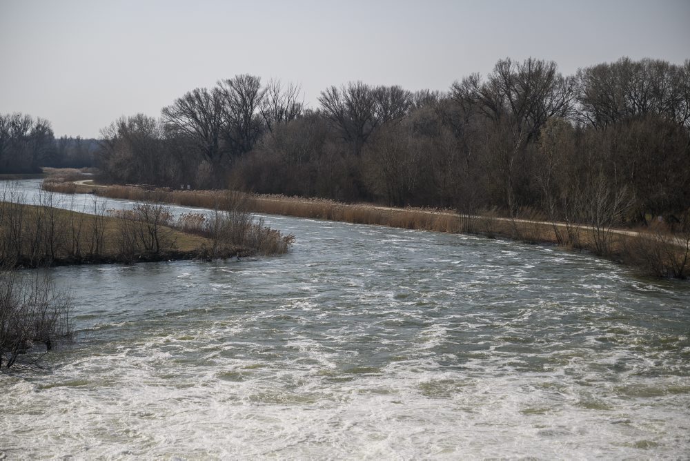 Mimoriadna záplava v ramene Dunaja pomôže životnému prostrediu