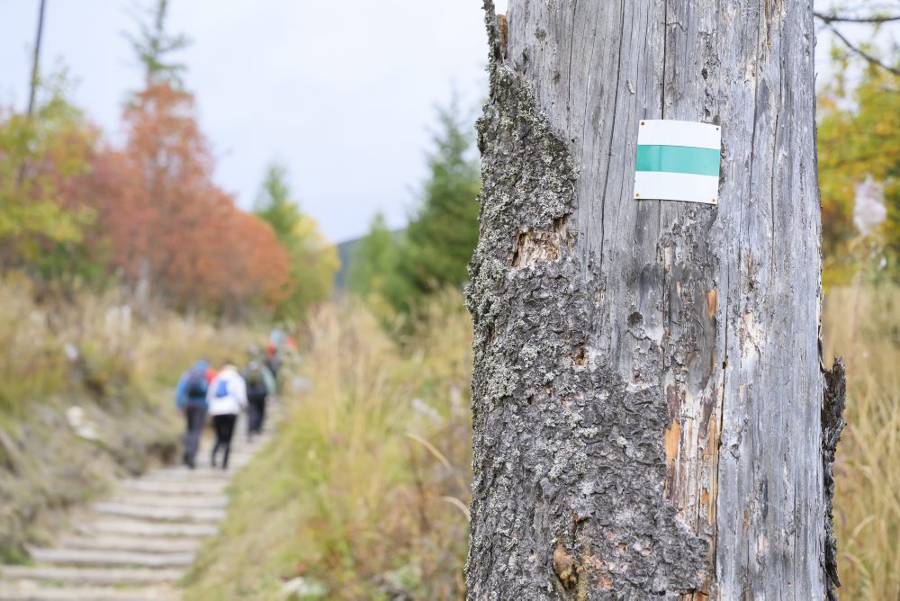Otvorenie obnoveného turistického chodníka na Kriváň 