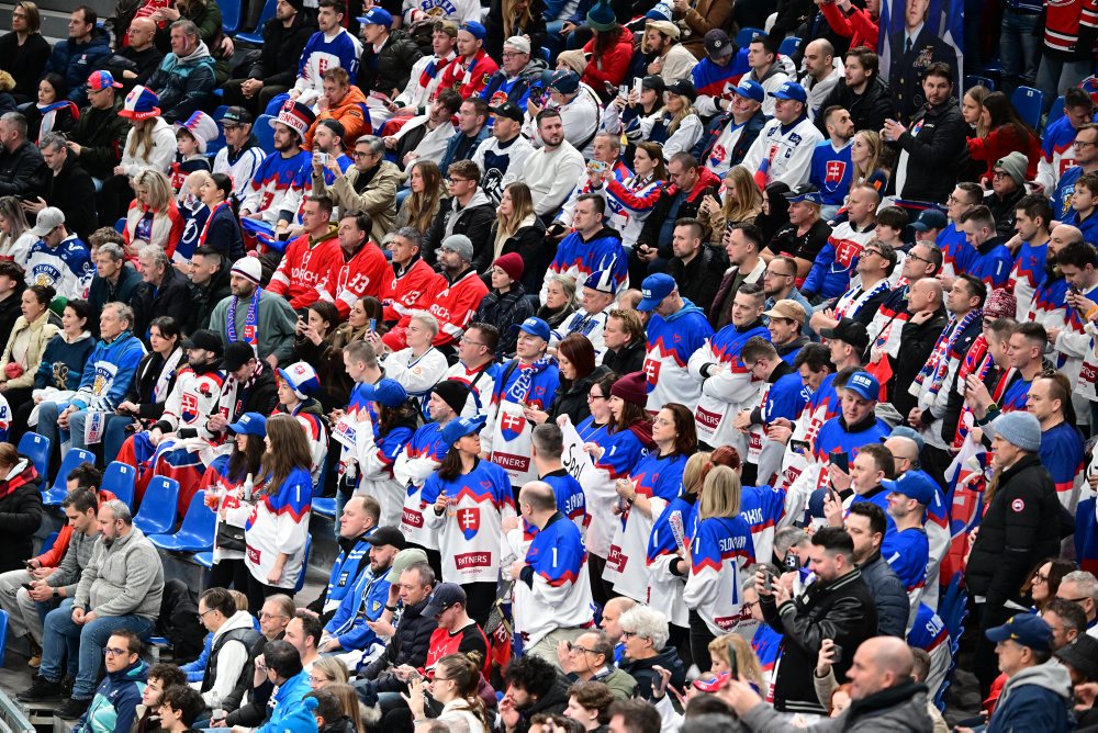 Zo zápasu Slovensko - Fínsko