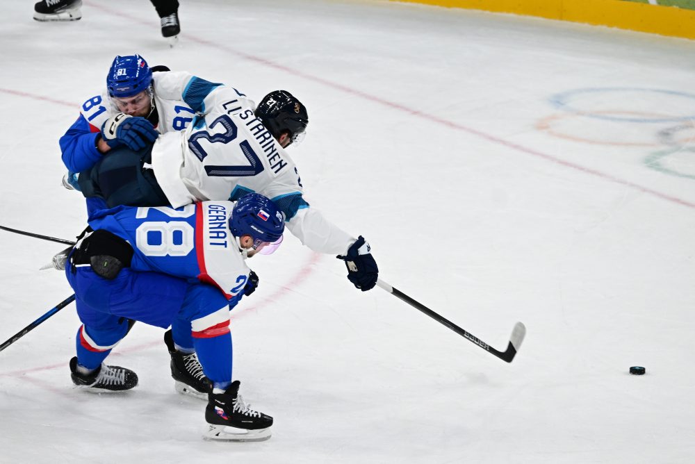 Zo zápasu Slovensko - Fínsko