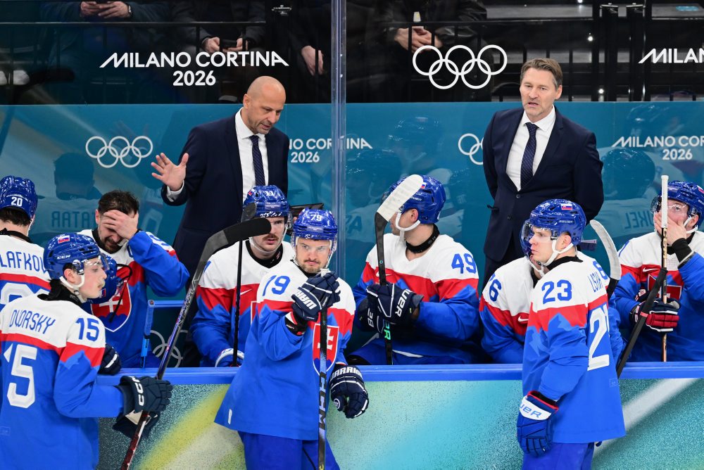 Zo zápasu Slovensko - Fínsko