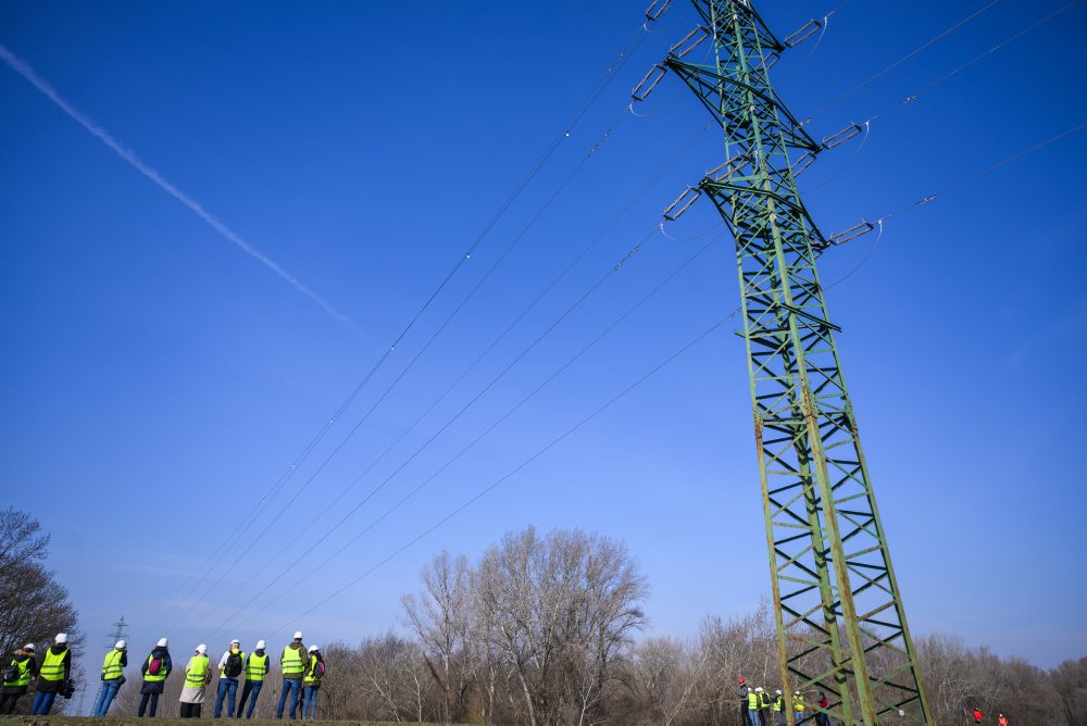 Ukážka technických opatrení za účelom zvýšenia bezpečnosti distribučných vedení pre vtáctvo v rámci medzinárodnej konferencie Free Sky For Birds 2026