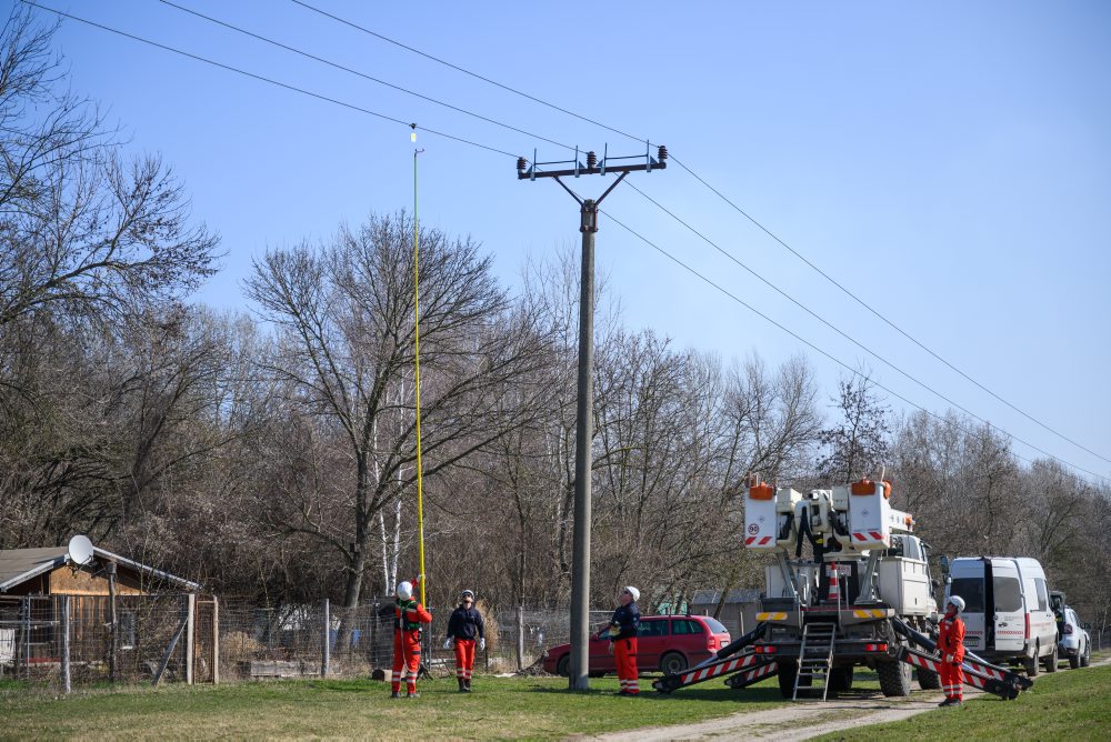 Ukážka technických opatrení za účelom zvýšenia bezpečnosti distribučných vedení pre vtáctvo v rámci medzinárodnej konferencie Free Sky For Birds 2026