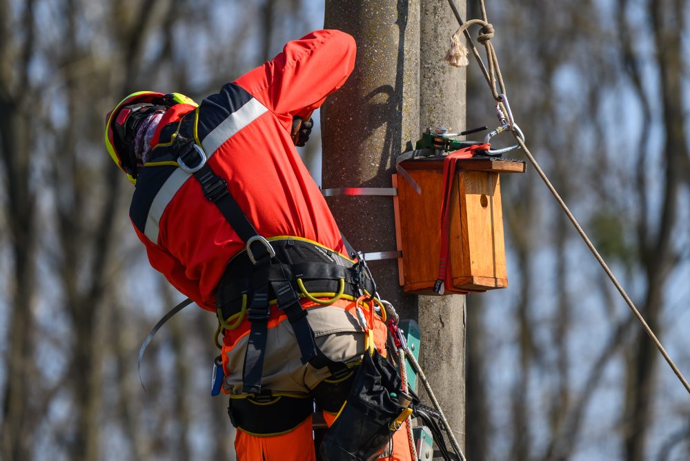 Ukážka technických opatrení za účelom zvýšenia bezpečnosti distribučných vedení pre vtáctvo v rámci medzinárodnej konferencie Free Sky For Birds 2026