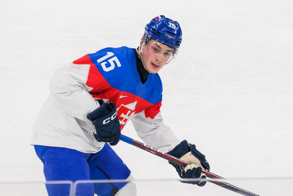 Švédsko - Slovensko 