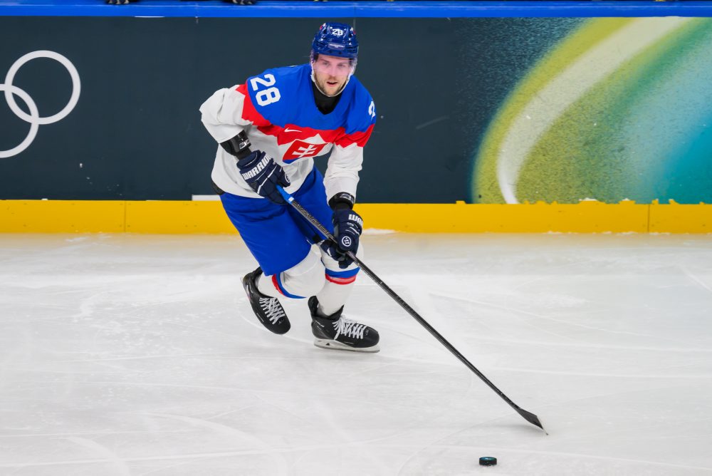 Švédsko - Slovensko 