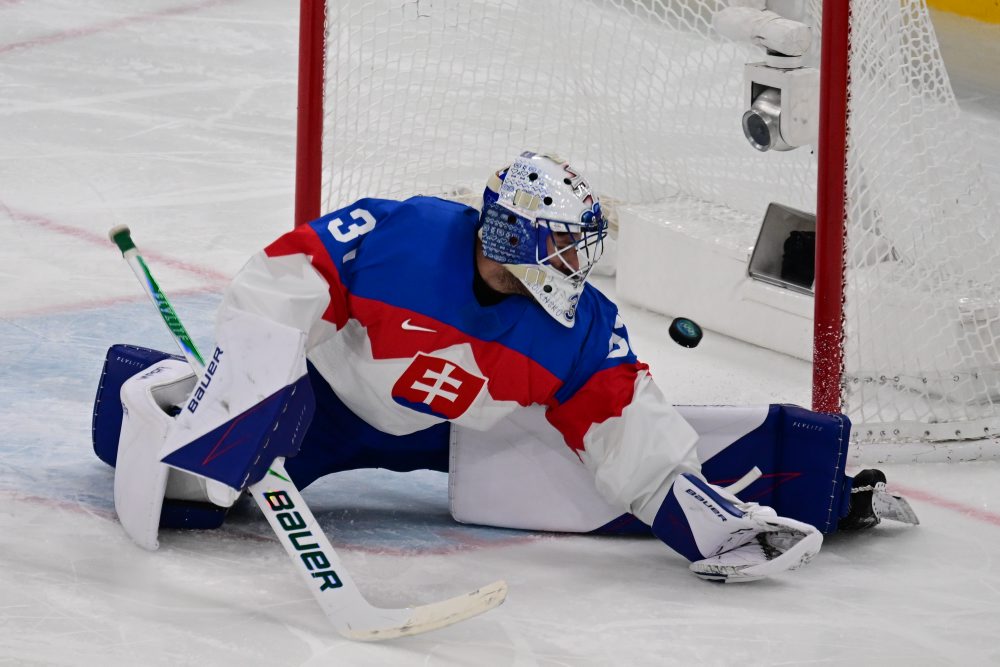 Švédsko - Slovensko 