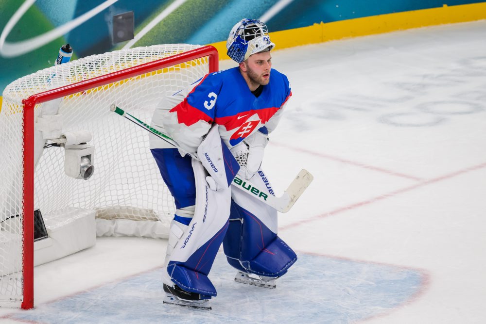 Švédsko - Slovensko 