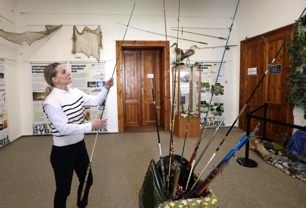 V spolupráci so Stredoslovenským múzeom sprístupnili v Tihányiovskom kaštieli v Banskej Bystrici výstavu RYBY a RYBÁRI