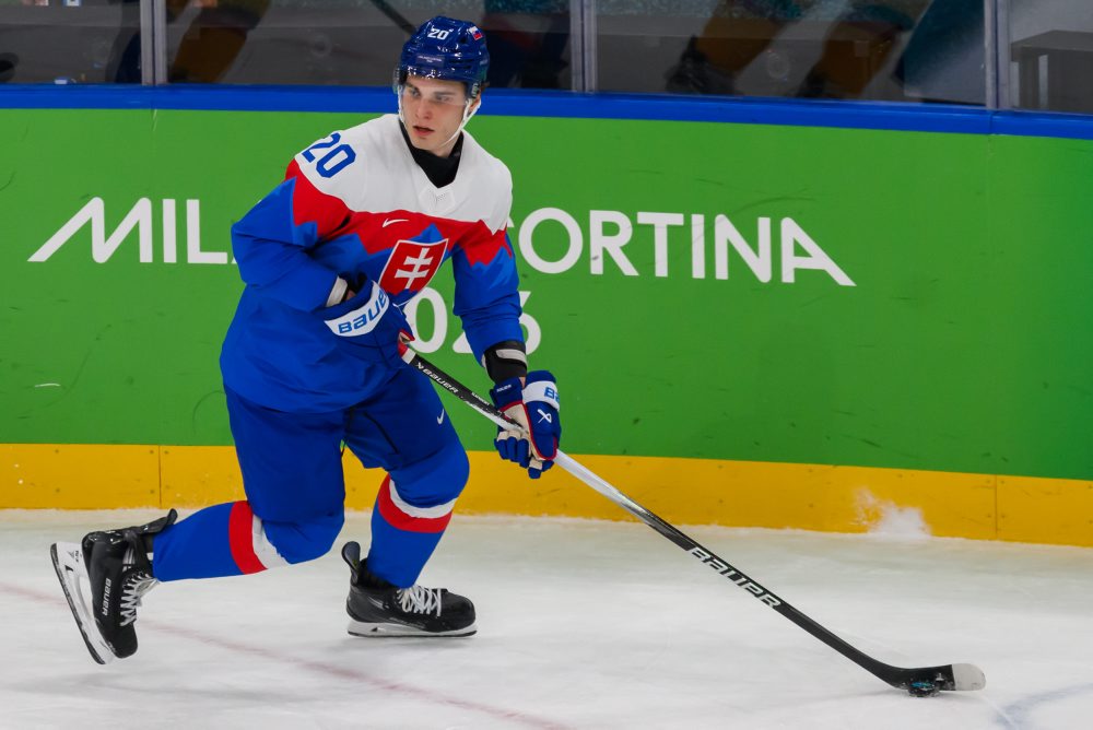 Zo štvrťfinálového zápasu Slovensko - Nemecko