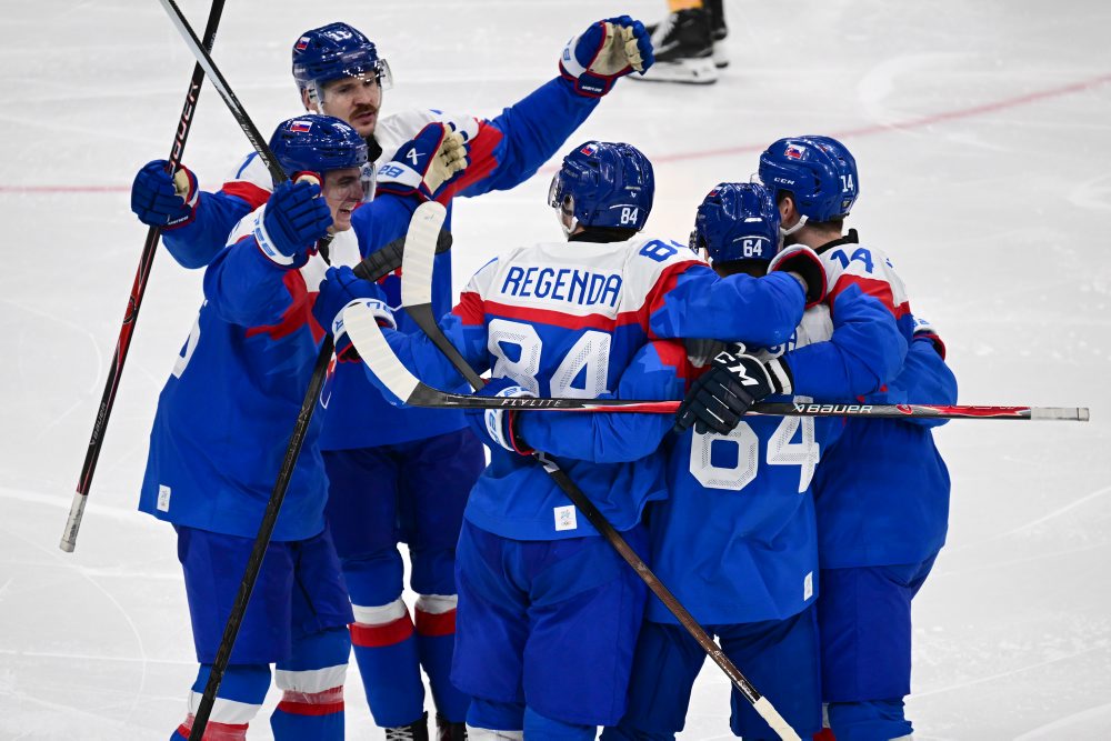 Zo štvrťfinálového zápasu Slovensko - Nemecko