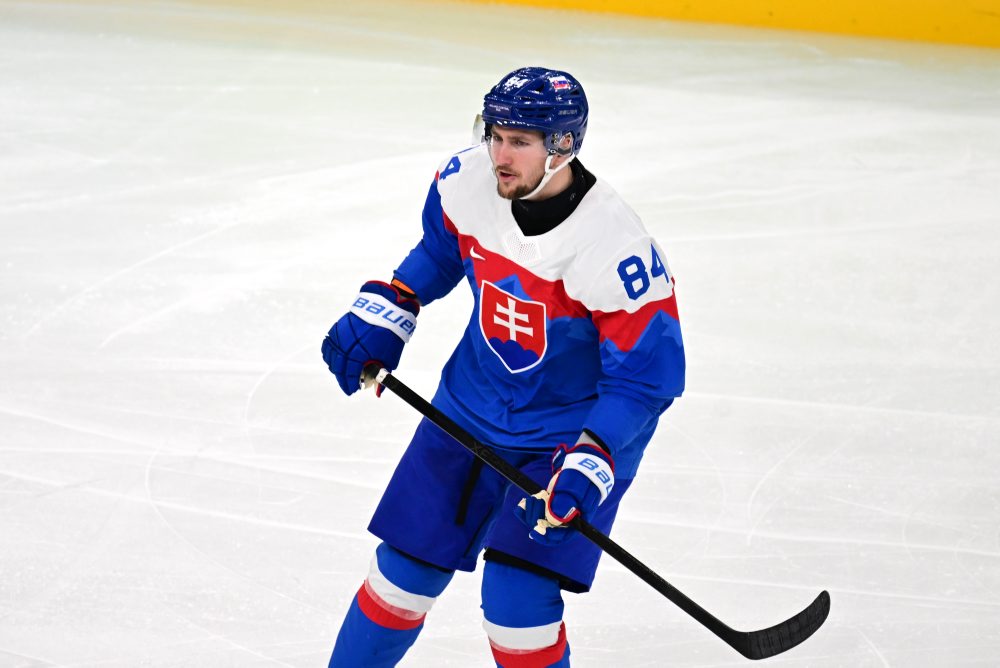 Zo štvrťfinálového zápasu Slovensko - Nemecko