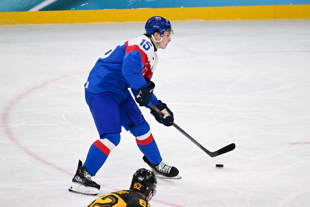 Zo štvrťfinálového zápasu Slovensko - Nemecko