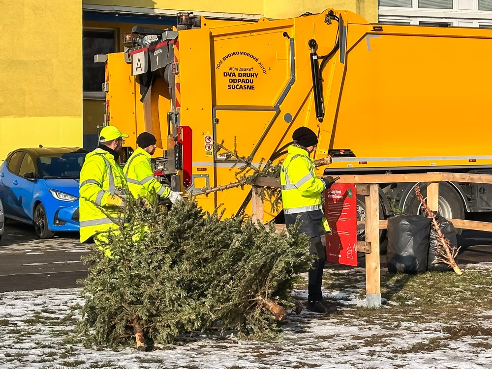 Zber vianočných stromčekov v Bratislave 