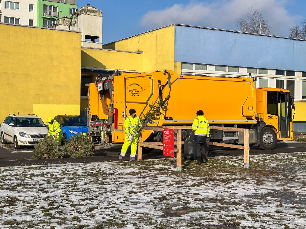 Zber vianočných stromčekov v Bratislave 