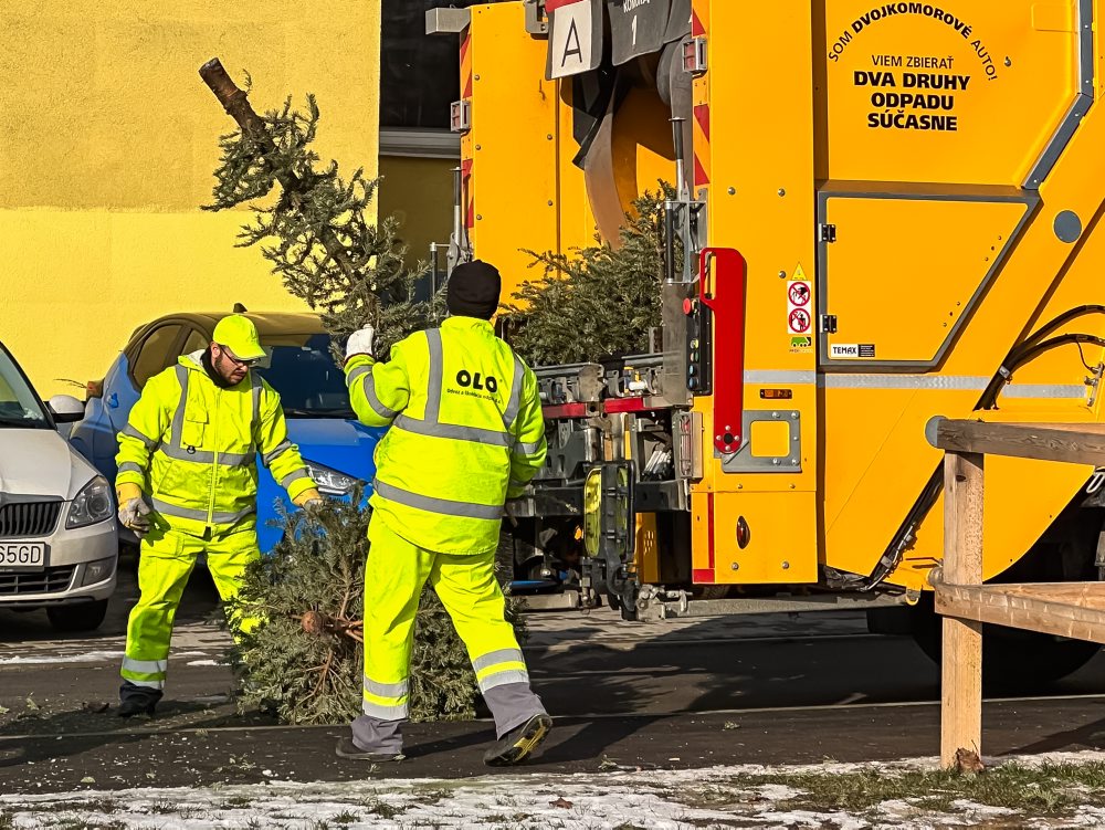 Zber vianočných stromčekov v Bratislave 