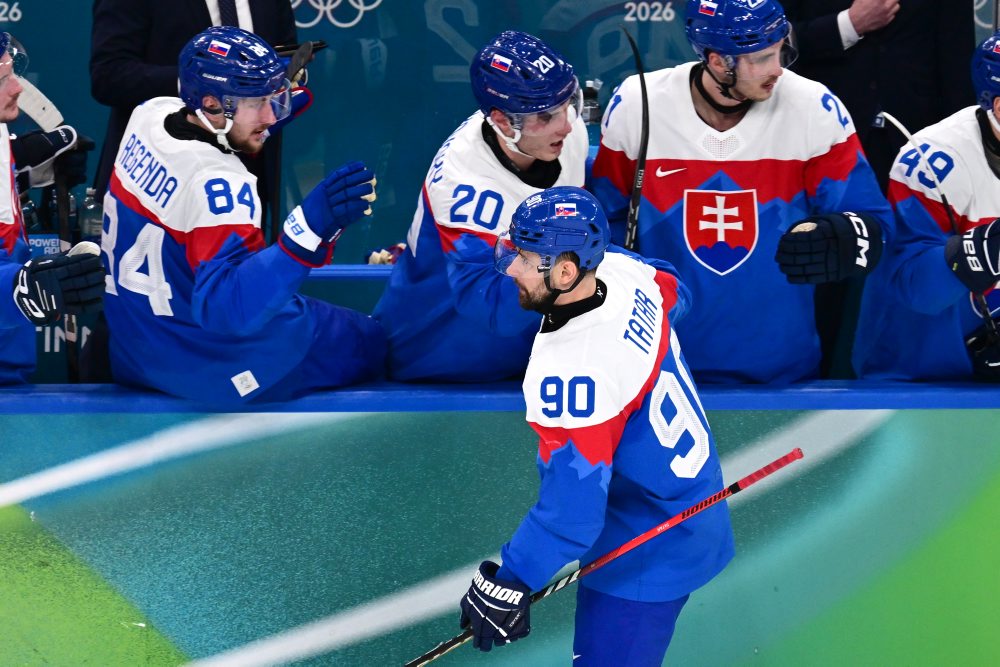 Zo zápasu o 3. miesto Slovensko - Fínsko