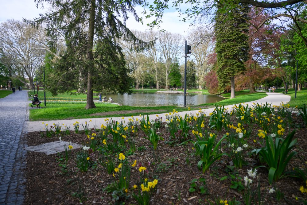 Zrekonštruovaný Kaštieľsky park v Stupave