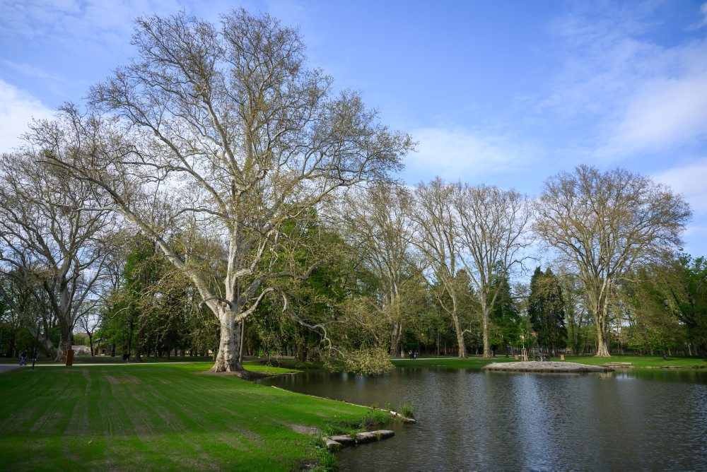 Zrekonštruovaný Kaštieľsky park v Stupave