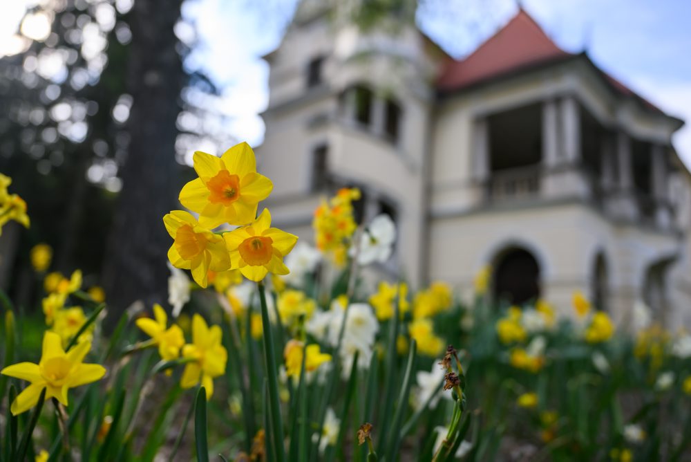 Zrekonštruovaný Kaštieľsky park v Stupave