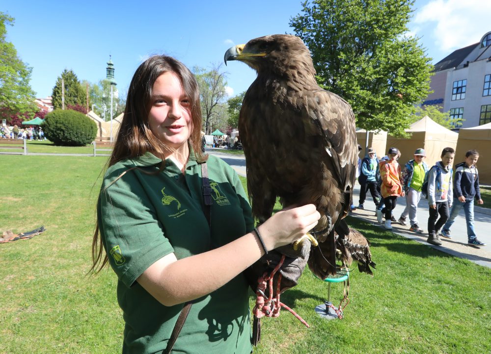Lesnícke dni vo Zvolene 
