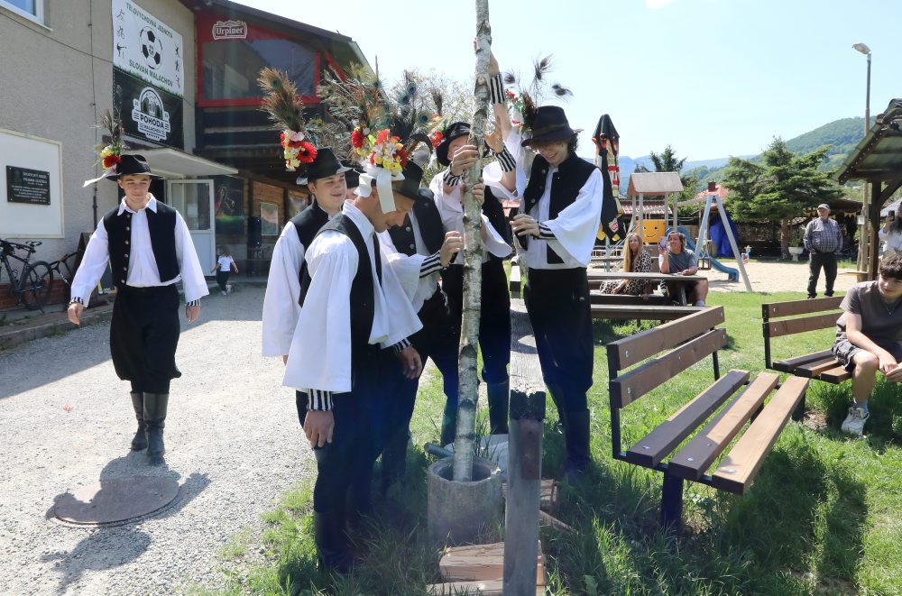 V obci Malachov postavili tradičný máj, viaže sa k termínu Turíc