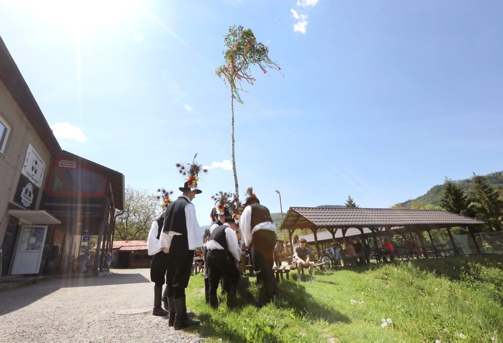 V obci Malachov postavili tradičný máj, viaže sa k termínu Turíc