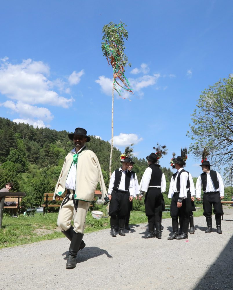 V obci Malachov postavili tradičný máj, viaže sa k termínu Turíc