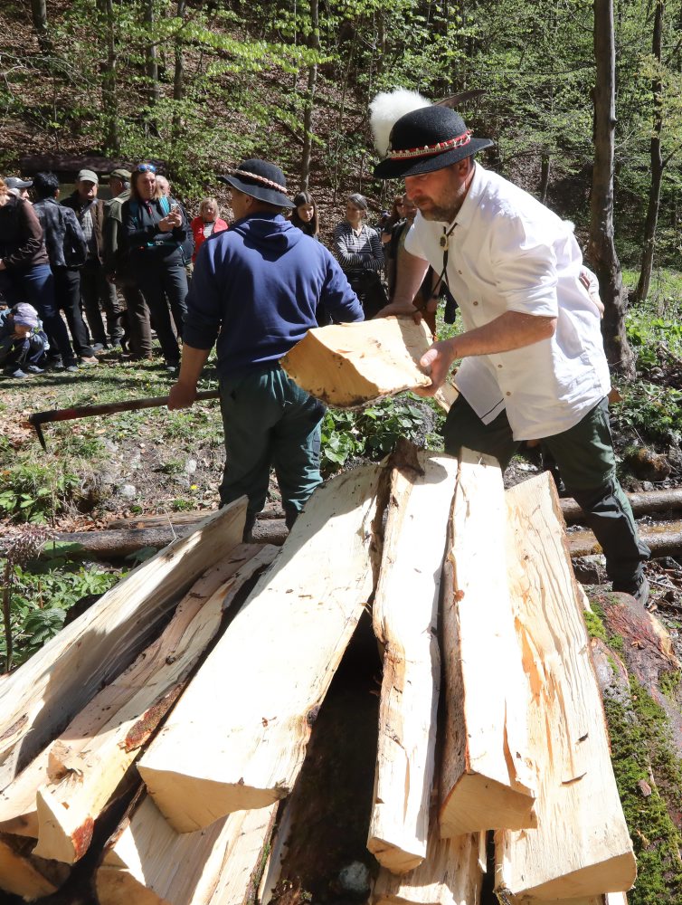 Plavenie dreva v drevenom vodnom žľabe v Rakytove pri Dolnom Harmanci 