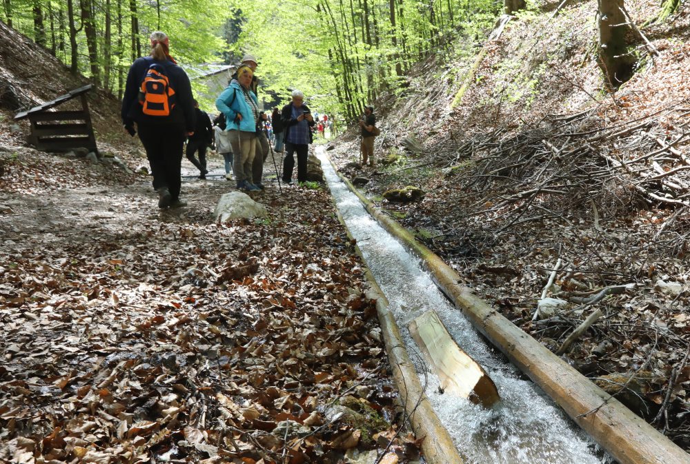 Plavenie dreva v drevenom vodnom žľabe v Rakytove pri Dolnom Harmanci 