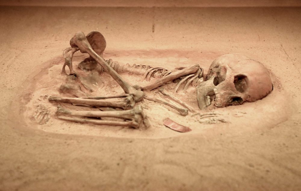 Zážitková výstava Život v dobe kamennej